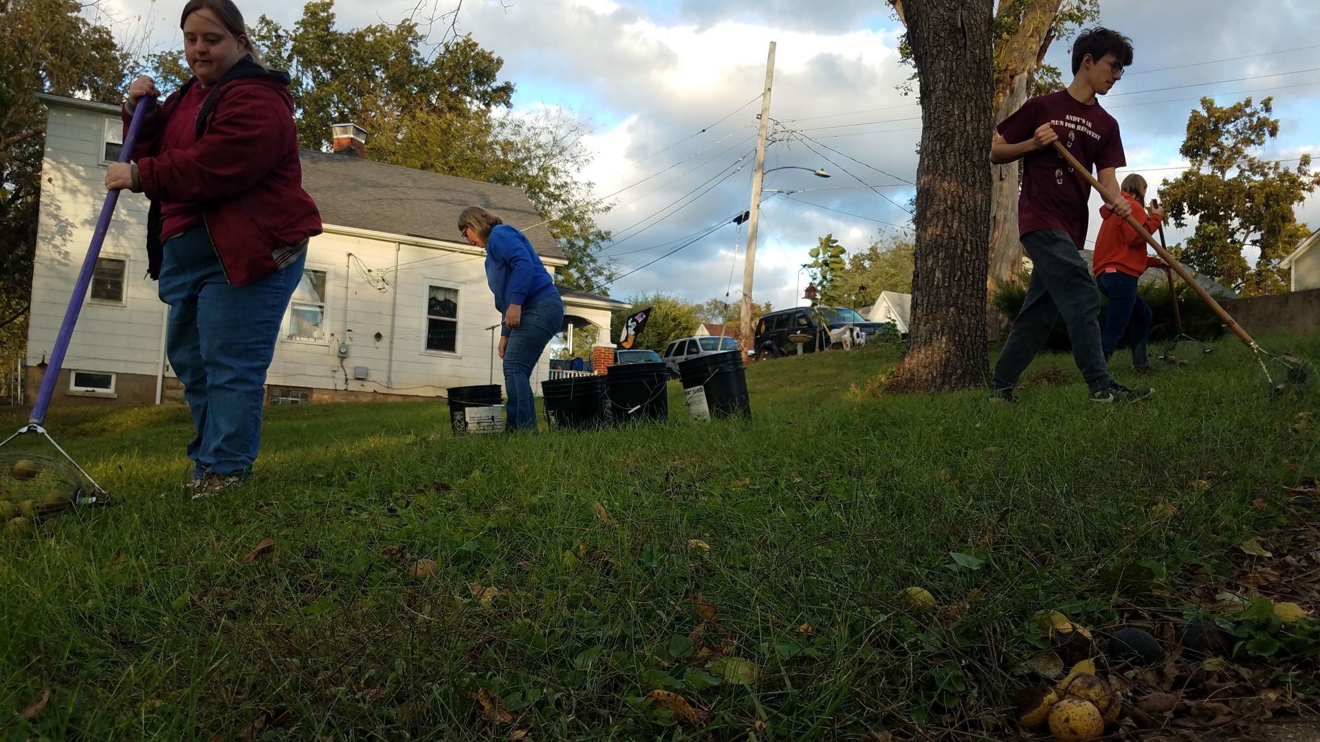 Missouriโs black walnut harvest